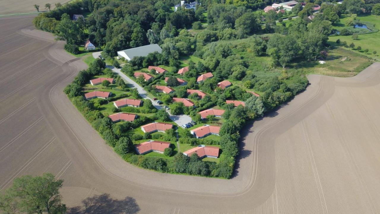 Villa Kranich Poolferienhaus à Hohendorf  Extérieur photo